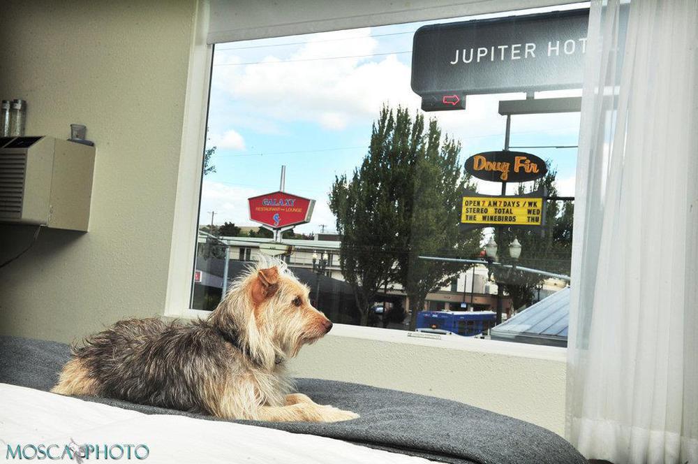 Hotel Jupiter 3*